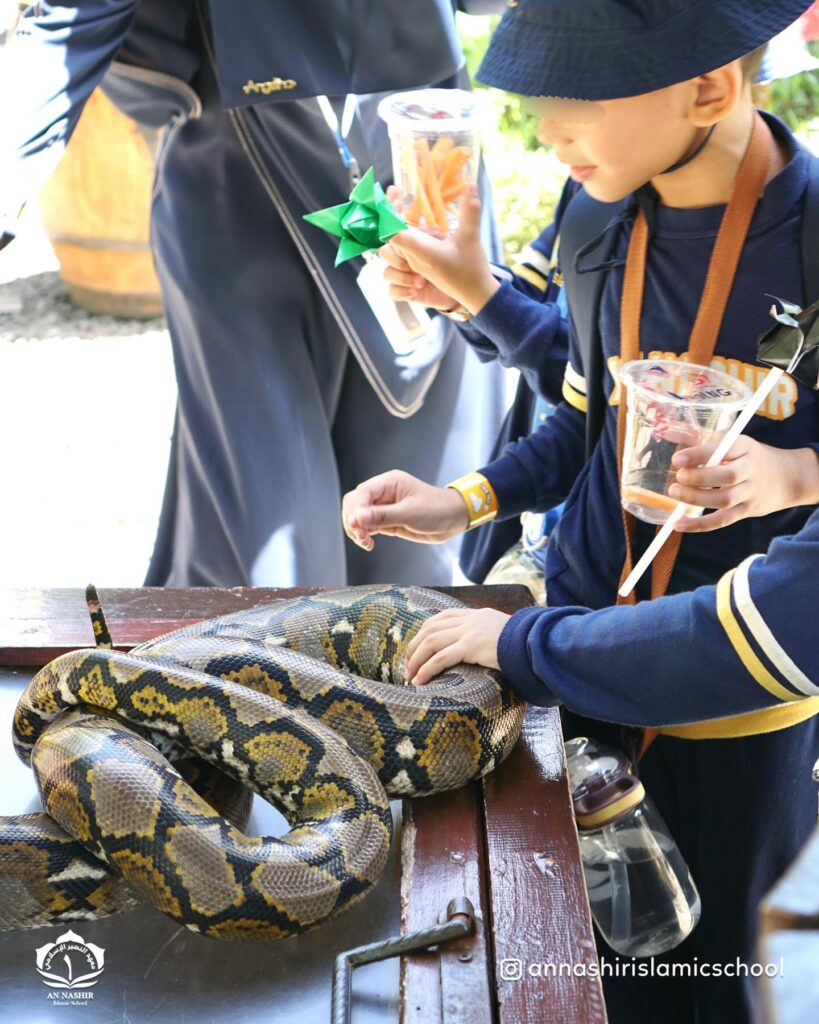 Photo by AN NASHIR ISLAMIC SCHOOL on November 27, 2025.